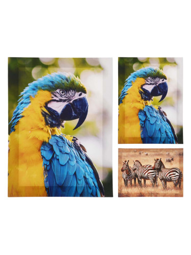 КАРТИНА АСОРТИ 30/40/1.5 СМ