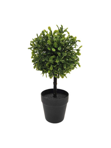 ДЕКОРАТИВНО ДЪРВО В САКСИЯ 22 СМ