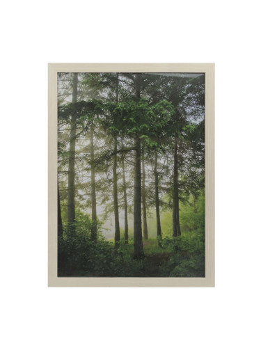 РАМКА ЗА СНИМКА 55/75 CM