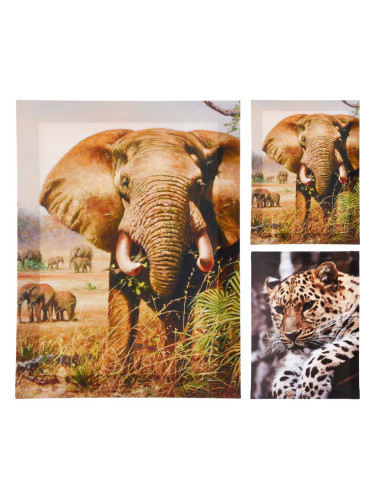 КАРТИНА АСОРТИ 30/40/1.5 СМ