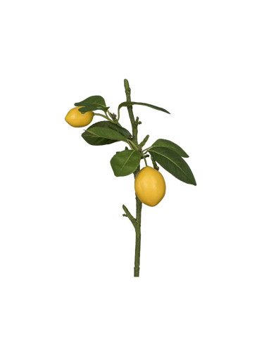 ДЕКОРАТИВНА КЛОНКА ЛИМОНИ 34CM