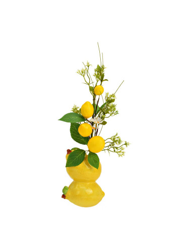 ДЕКОРАТИВНА КЛОНКА