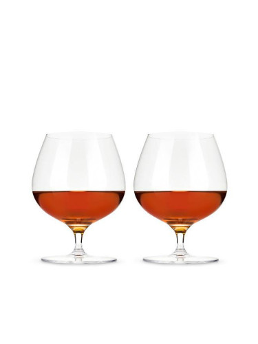Комплект от 2 бр. чаши за бренди и коняк VISKI RAYE 2 кристални - 502 мл