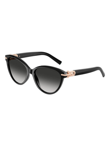 TIFFANY & CO. TF4261 - 80013C