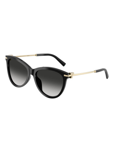 TIFFANY & CO. TF4258BU - 80013C