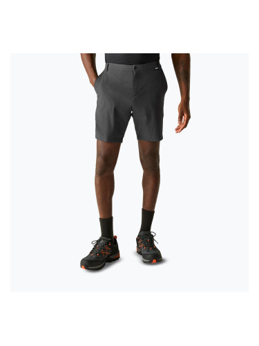 Мъжки шорти за трекинг REGATTA Anti Insect Travel Light ash
