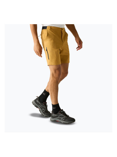 Мъжки шорти за трекинг REGATTA Anti Insect Travel Light wood brown