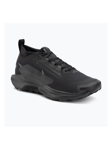 Мъжки обувки за бягане Nike Pegasus Trail 5 GORE-TEX black/anthracite/black