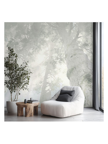 Фототапет Гора в мъгла – модерен фототапет с дървета