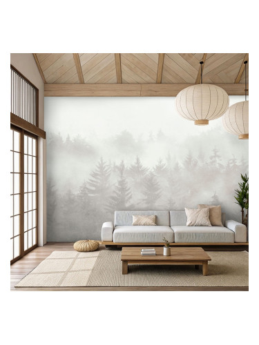 Фототапет мъглива гора с иглолистни дървета