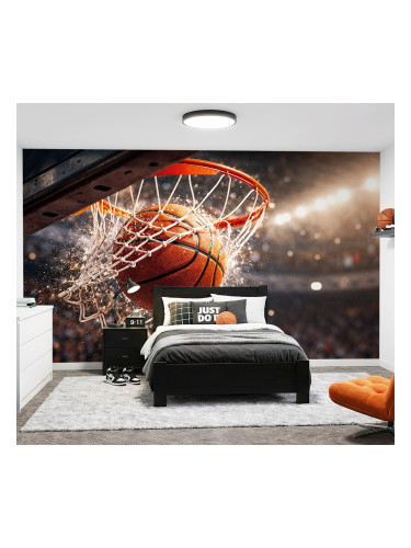 Фототапет баскетболен кош със стадион ефект