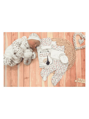 Комплект за новородено бебе 5 части CUTE