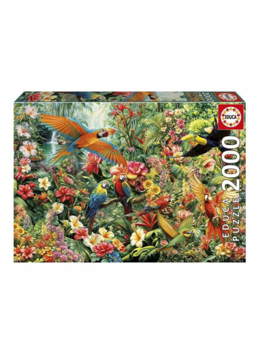 Пъзел Educa Птици 2000 Части