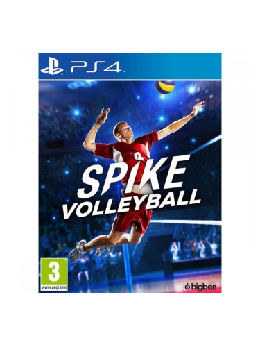 Видеоигра PlayStation 4 Sony PS4VOLLEYSPPT
