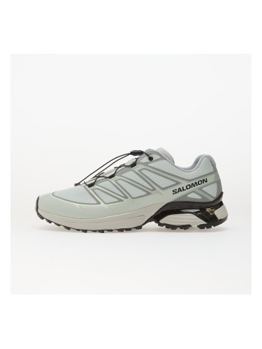 Сникърси Salomon XT-Pathway 2 Ice Flow/ Gryvio/ Claqua EUR 41 1/3