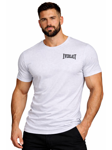 Мъжка тениска Everlast сива
