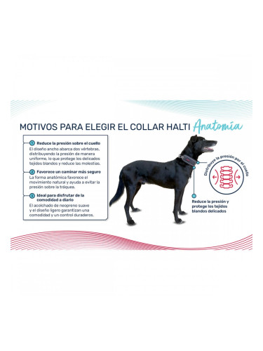 Кучешки Нашийник Company of Animals цвят тюркоаз