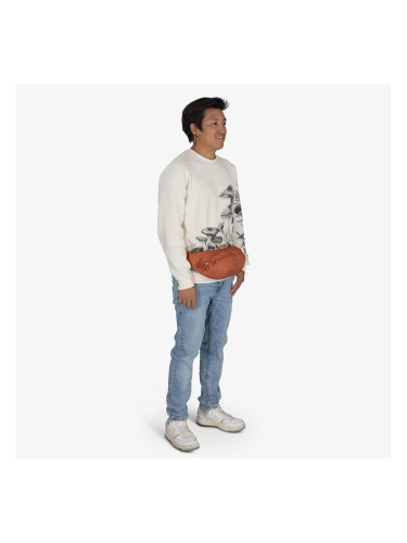Чантичка за кръста Osprey Daylite Waist Porcelain Orange Universal