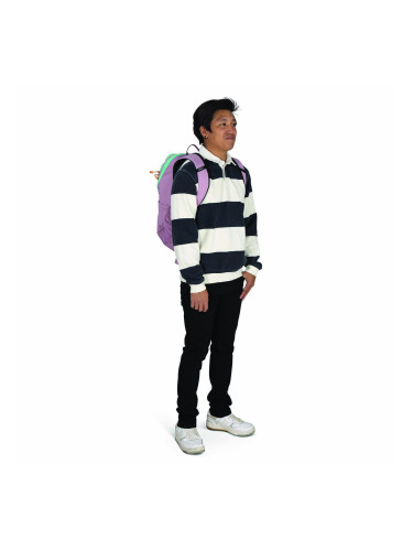 Раница Osprey Astronova Iris Pink Universal