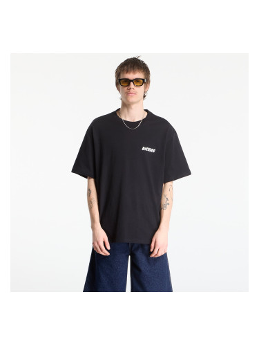 Тениска Dickies Dry Ridge Ss Tee Black L