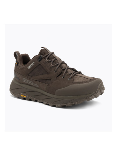 Мъжки обувки за трекинг Jack Wolfskin Terraquest Texapore Low gecko bear