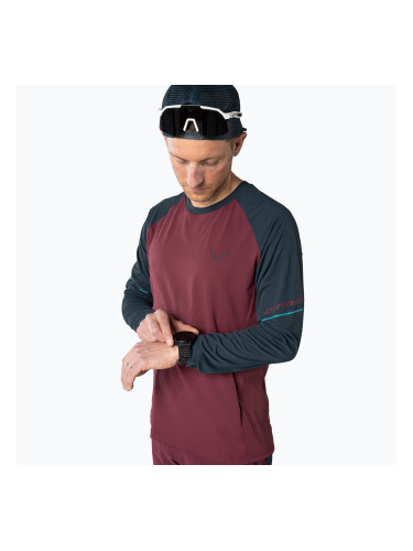 Мъжка блуза с дълъг ръкав за бягане DYNAFIT Alpine Pro burgundy