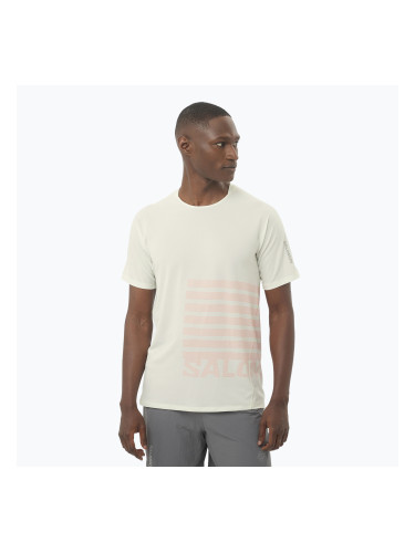 Мъжка тениска за бягане Salomon Sense Aero Tee GFX icicle/neon flame