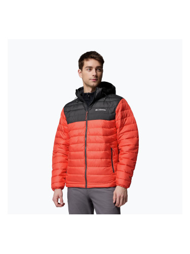 Мъжко яке Columbia Powder Lite II Hooded zing/shark