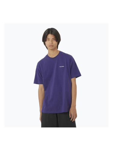 Мъжки потник Salomon Logo RX Tee astral
