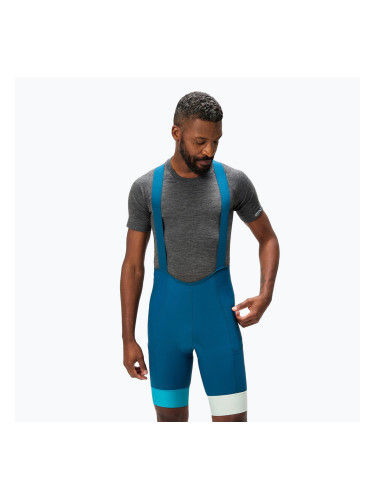 Мъжки шорти за колоездене Endura Loop Bibshort barra blue