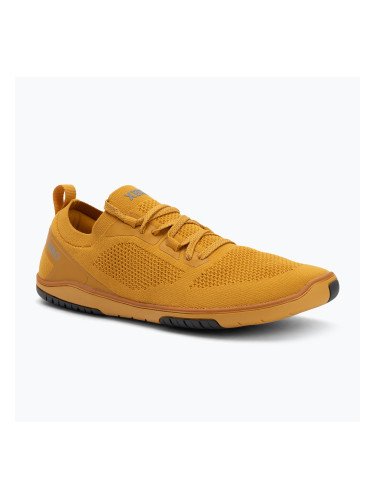 Мъжки обувки за боси крака Xero Shoes Nexus Knit gold
