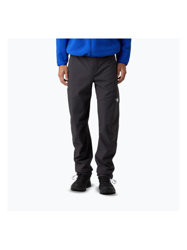 Мъжки панталони за трекинг The North Face Dawn Turn asphalt grey