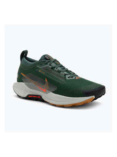 Мъжки обувки за бягане Nike Pegasus Trail 5 GORE-TEX fir/bright crimson/clay green
