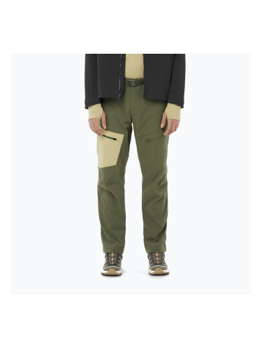 Мъжки панталони за трекинг Salomon Outerpath Utility grape leaf