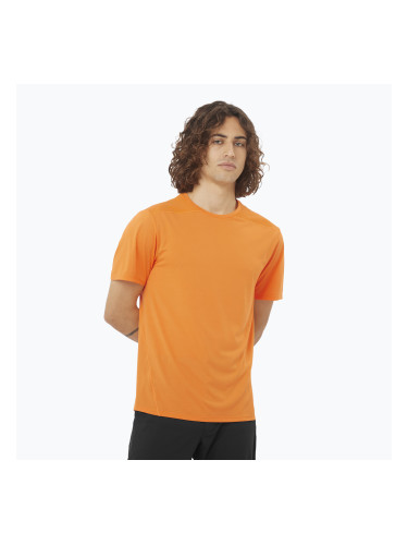 Мъжка тениска Salomon Outline Tee в цвят куркума