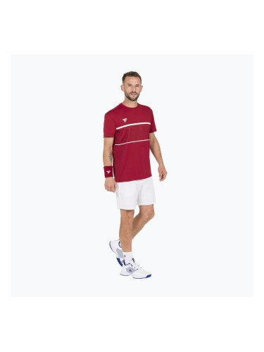Мъжка тениска Tecnifibre Team Tech Tee red 22TETECR33