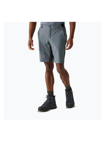 Мъжки къси панталони за трекинг REGATTA Eldes за бурно време/пепел