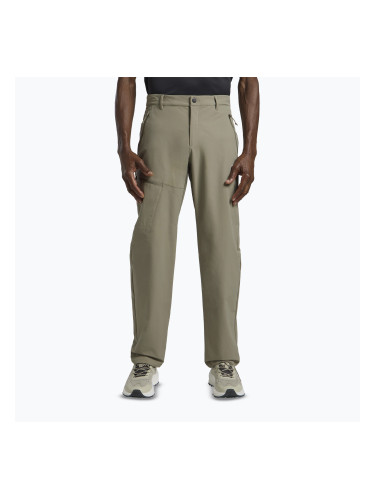 Мъжки панталони за трекинг Jack Wolfskin Pico Trail stone