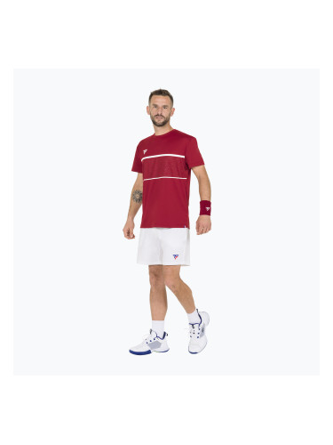 Мъжки тенис шорти Tecnifibre Team white 23SHOMWH35