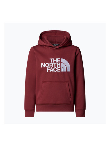 Детски суитшърт The North Face Teen Drew Peak Pullover Hoodie sumac