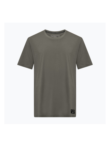 Мъжка тениска Salewa Eagle Logo Patch 5A50 faded green