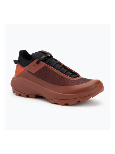 Мъжки обувки Arcteryx Vertex Alpine dynasty / sequoia approach