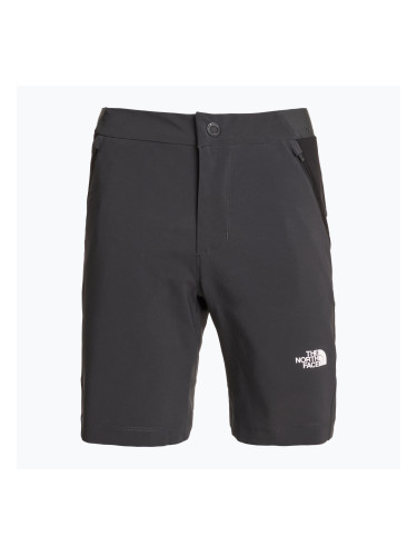Дамски къси панталони за трекинг The North Face Felik Slim Tapered asphalt grey/tnf black