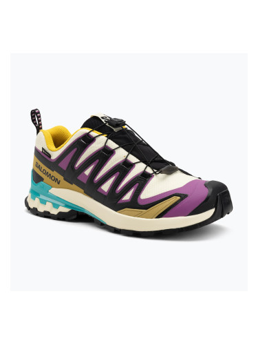 Мъжки обувки за бягане Salomon XA PRO 3D V9 GTX transparent yellow/black/waterfall