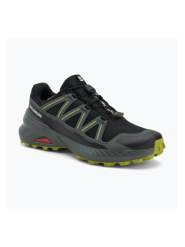 Мъжки обувки за бягане Salomon Speedcross Peak GTX black/urban chic/dark citron