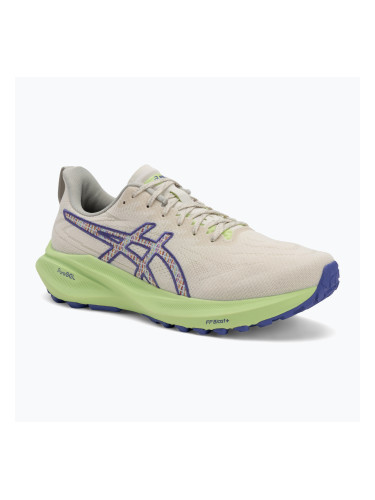ASICS GT-2000 13 TR мъжки обувки за бягане nature bathing/lime green