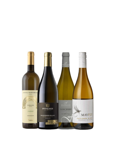 Всеобщият любимец Совиньон блан