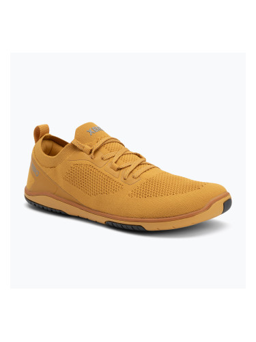 Дамски обувки за боси крака Xero Обувки Nexus Knit gold
