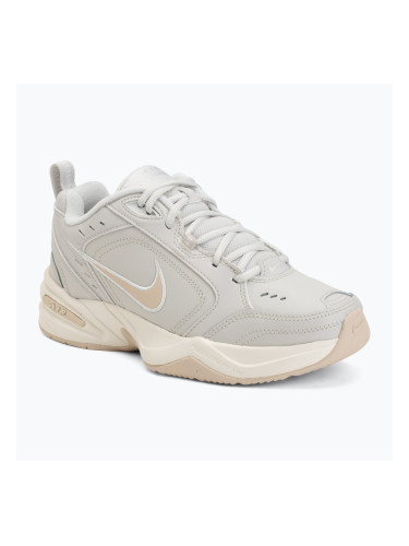 Мъжки обувки за тренировка Nike Air Monarch IV light bone/spruce aura/sanddrift