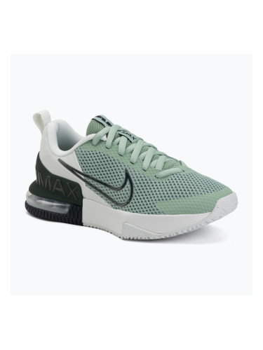 Мъжки обувки за тренировка Nike Air Max Alpha Trainer 6 steam/spruce aura/off white/black spruce